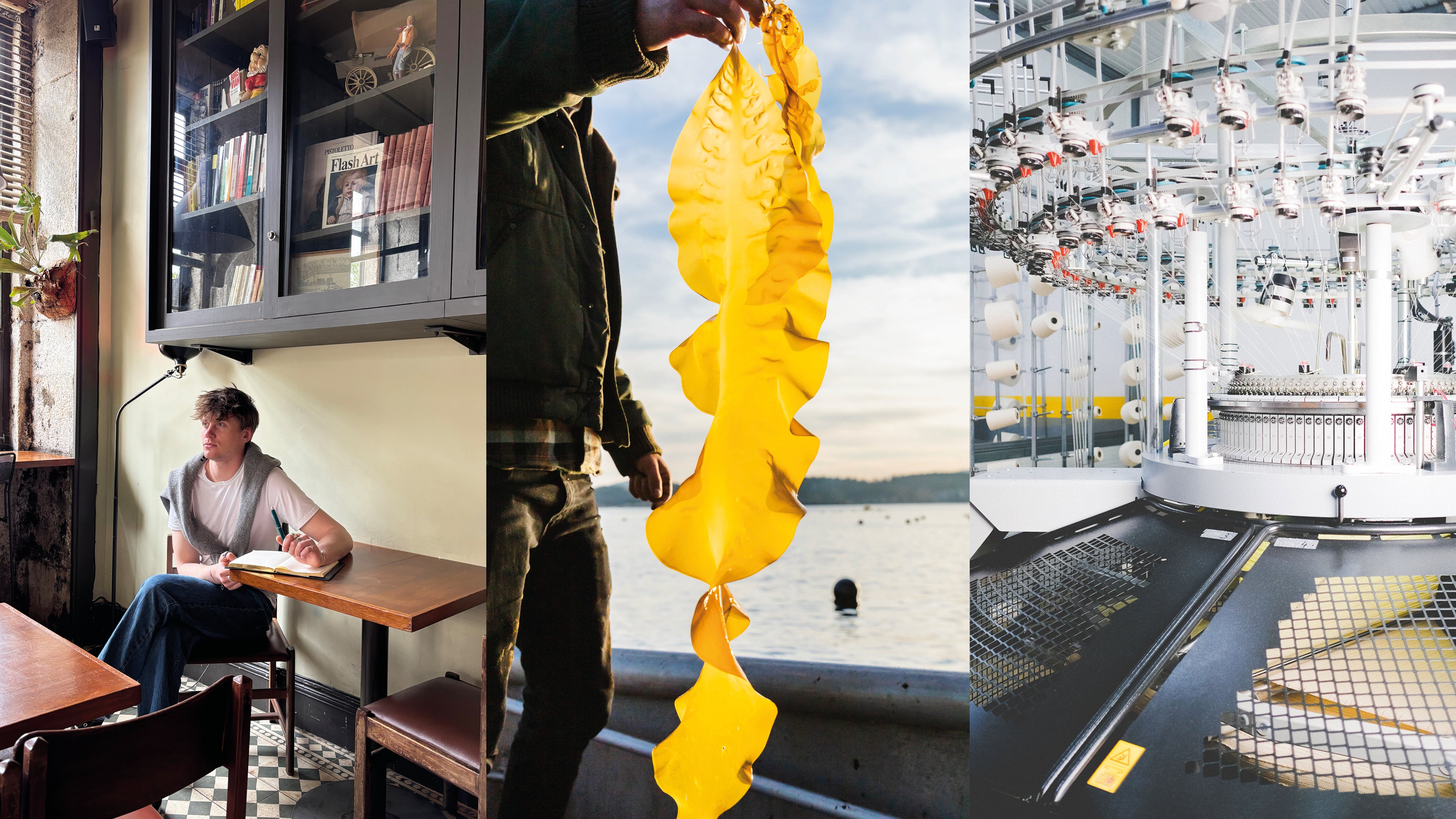 A triptych-style collage showing three different scenes: Alexander Clementine founder, the Icelandic seaweed used to make Alexander Clementine's underwear, high tech manufacturing machine to make Alexander Clementine's seaweed fabric.